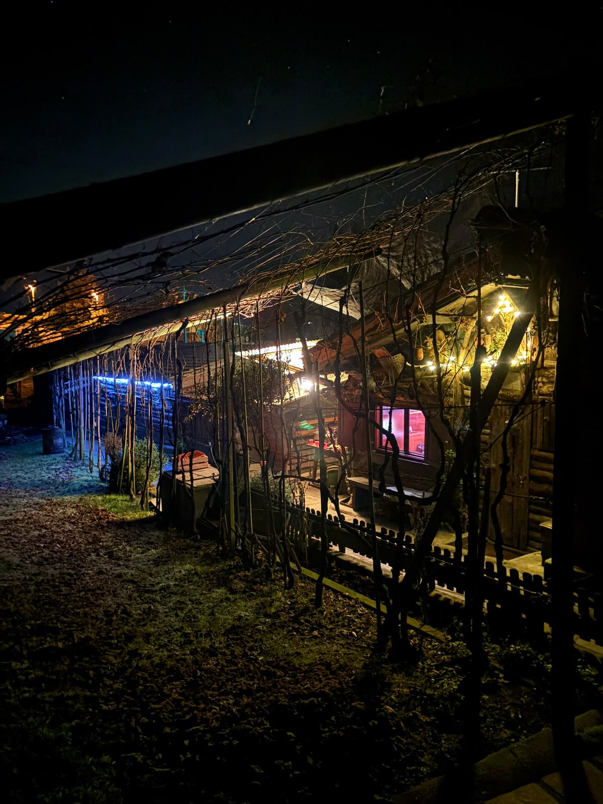 Bei Nacht