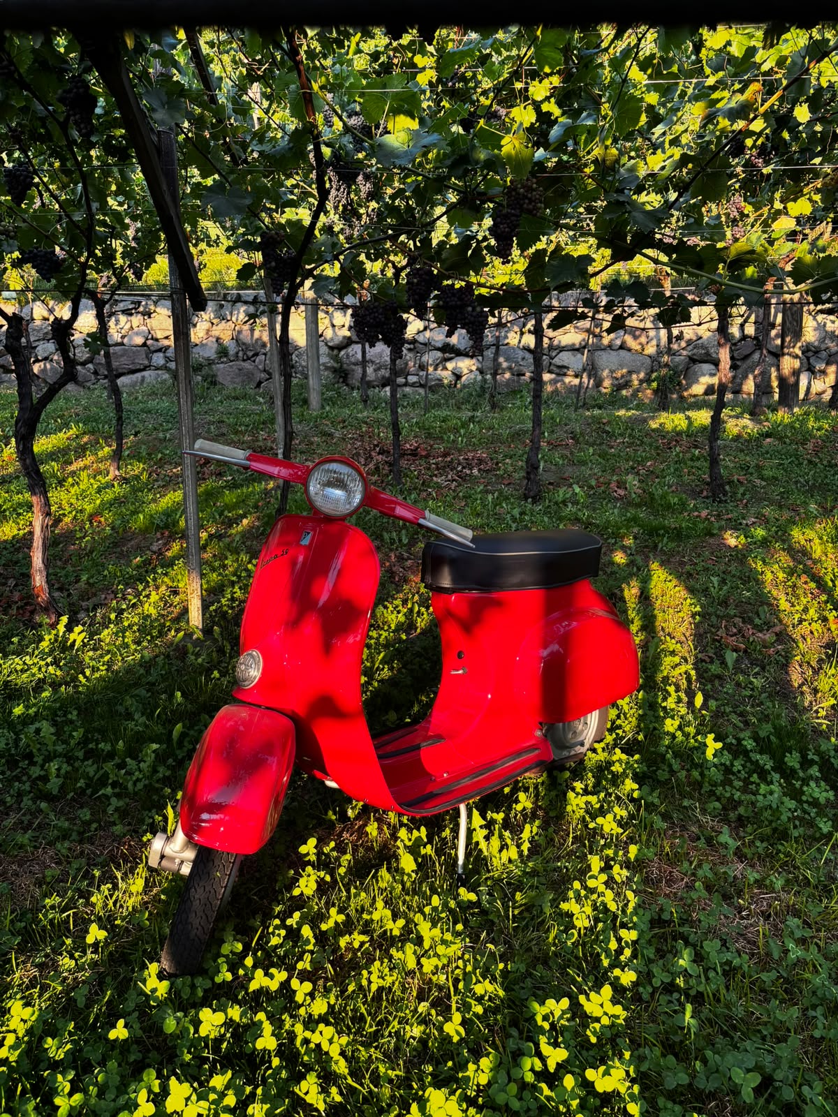 Vespa